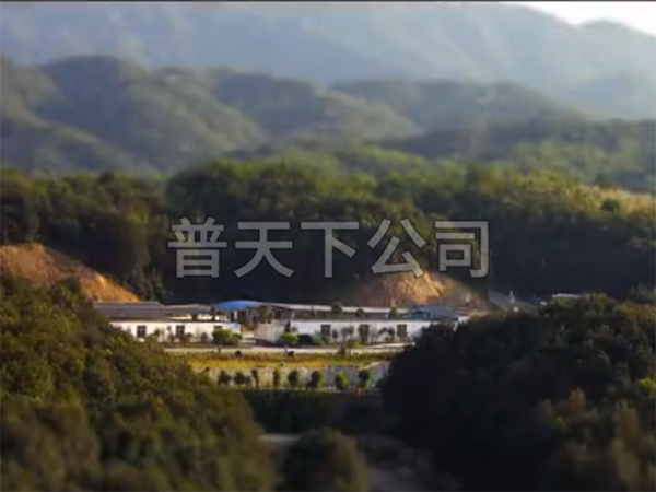 春晚公益廣告《中國(guó)字中國(guó)年》_高清